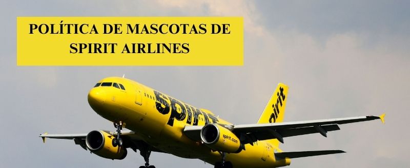 Política de mascotas de Spirit Airlines